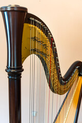 Traditional harp. The instrument of the gods.