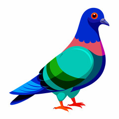 Pigeon Vibrant Vector Illustration