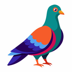 Pigeon Vibrant Vector Illustration