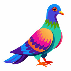 Pigeon Vibrant Vector Illustration