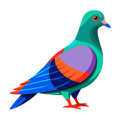 Pigeon Vibrant Vector Illustration