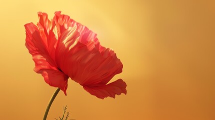 Poppy highlighted, rich gold background, magazine format, natural light, faceon angle - obrazy, fototapety, plakaty