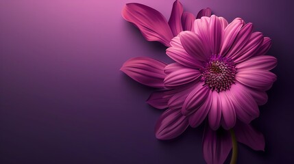 Cutter Flower, deep purple background, cover of magazine, spotlight effect, angled from above