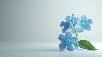 Forgetmenot with a soft gray background, classic magazine style, gentle glow, frontal perspective