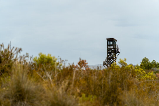 landscape with a firewatch tower in the background.