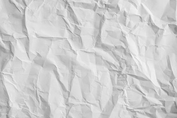 A heavily crumpled large sheet of paper as a background. Black and white image.