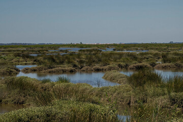 Aveiro lagoon Ria de Aveiro located on the Atlantic coast of Portugal