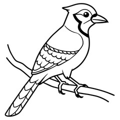 blue jay bird vector art illustration (31)