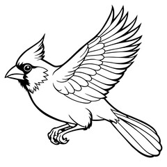 cardinal bird coloring book page vector art illustration, solid white background (7)