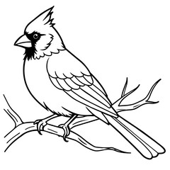 cardinal bird coloring book page vector art illustration, solid white background (21)