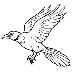 Crow coloring book page vector art illustration (10)