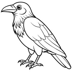 Crow coloring book page vector art illustration (14)
