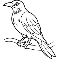 Crow coloring book page vector art illustration (22)