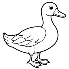 Duck Coloring book page vector art illustration line art (18)