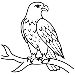 Obraz premium Eagle Coloring book page illustration (1)