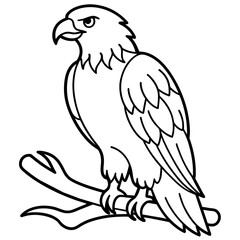 Eagle Coloring book page illustration (28)