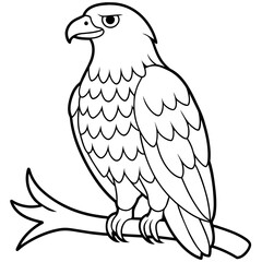 Eagle Coloring book page illustration (25)