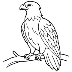 Eagle Coloring book page illustration (26)