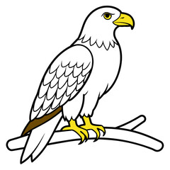 Eagle Coloring book page illustration (27)