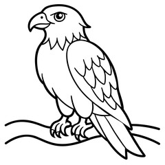 Eagle Coloring book page illustration (33)