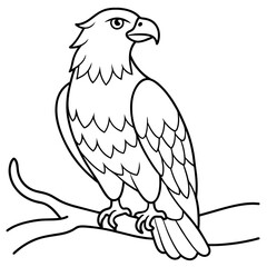 Eagle Coloring book page illustration (32)