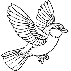 finch bird coloring book page vector (1)