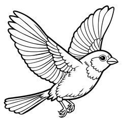 finch bird coloring book page vector (5)