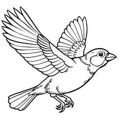 finch bird coloring book page vector (22)