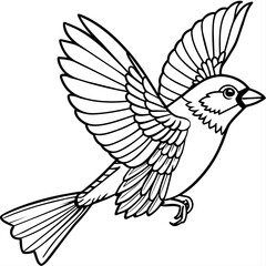finch bird coloring book page vector (28)