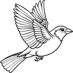 finch bird coloring book page vector (27)