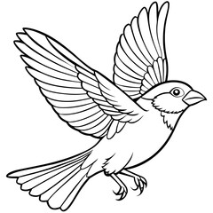 finch bird coloring book page vector (33)