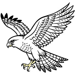 Hawk bird coloring book page vector illustration (1)