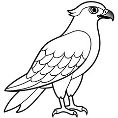 osprey bird oloring book page vector art illustration, solid white background (18)