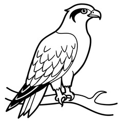 osprey bird oloring book page vector art illustration, solid white background (15)