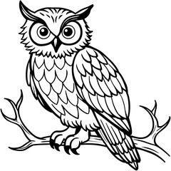 owl coloring book page (24)