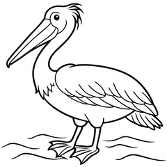 pelican bird coloring book page vector illustration (2)