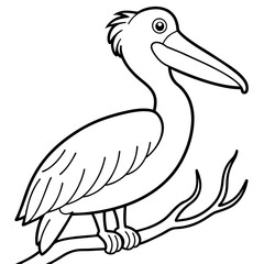 pelican bird coloring book page vector illustration (10)