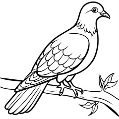 Obraz premium pigeon bird coloring book page vector illustration (9)