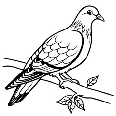 Fototapeta na wymiar pigeon bird coloring book page vector illustration (15)