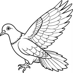 pigeon bird coloring book page vector illustration (24)