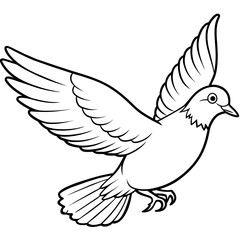 pigeon bird coloring book page vector illustration (25)