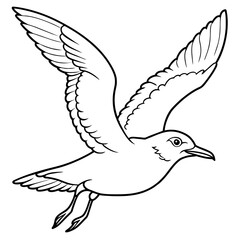 seagull bird Coloring book vector art illustration (22)
