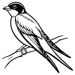 swallow bird coloring book page vector art illustration, solid white background (1)