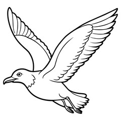 seagull bird Coloring book vector art illustration (21)