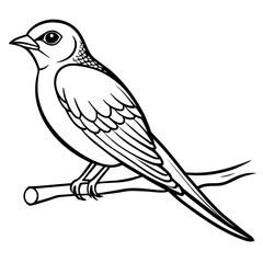swallow bird coloring book page vector art illustration, solid white background (5)