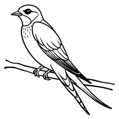 swallow bird coloring book page vector art illustration, solid white background (6)