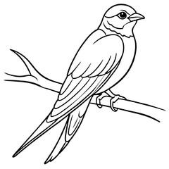 swallow bird coloring book page vector art illustration, solid white background (4)