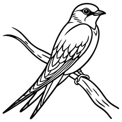 swallow bird coloring book page vector art illustration, solid white background (9)