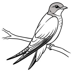 swallow bird coloring book page vector art illustration, solid white background (32)