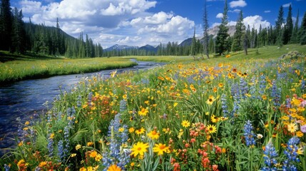 A field of vibrant wildflowers stretching to the horizon, a winding river cutting through, panoramic - obrazy, fototapety, plakaty
